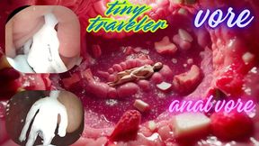 Tiny traveler swallows