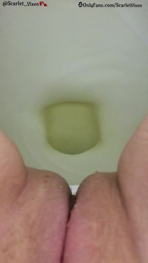 Desperate Redhead & the Public Toilet