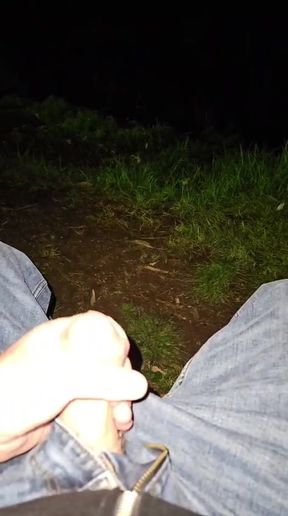 Risky public jerking on the park bench