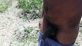 Tamil boy walking and showing big black dick village area mostly danger area