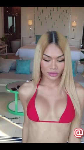 Who's Ready the Incredible 5ft5 Asian Dream That Is