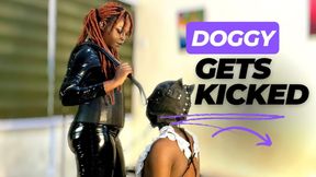 Doggie gets kicked