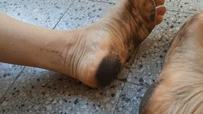 THE QUEEN OF DIRTY FEET NEEDS YOUR TONGUE