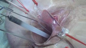 10 Far Spread Pussy Close up Fucking with Lamp 1000 Watt