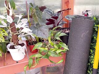 Spring Greenhouse Travel