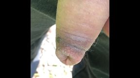 solobdsmman 23 -my smegma dick in the forest