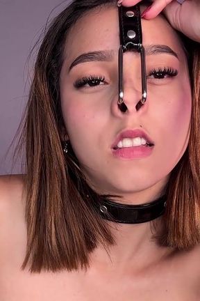 Addicted Yo Nasal Harness