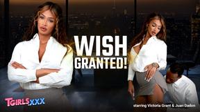 ”TGIRLS XXX - Wish Granted!”