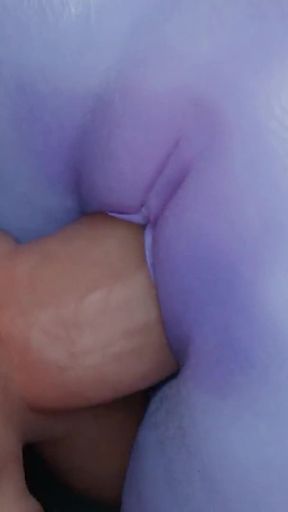 Tracer Sets up Widowmaker Fucked by Big Dicks 3D Overwatch Porn