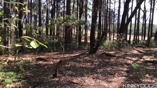 She found me peeing in the woods, there I fucked her (CAUGHT IN PUBLIC)