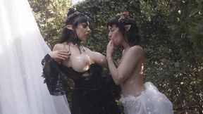 Forbidden Love Elven Fantasy
