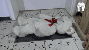 Sweet Teddy use as like a door mat