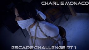 Charlie Monaco - Escape Challenge *By Night* H265 MP4 4K ( Wrap Gagged , Bound Gagged , Rope Bondage , Tied Up Gagged , Bondage , BDSM , Escape Challenge , OTM Gag , Duct Tape Wrap Gag , Hairtie , Chairtied , Struggling , Charlie Monaco )