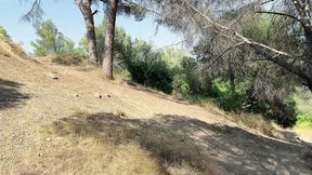 Stranger�s Secret Passage Helped Me Out of the Forest
