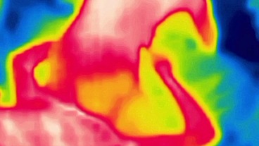 fucking with thermal