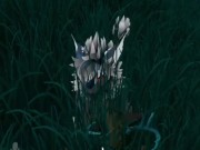 Predator and prey