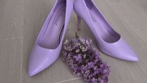 Trampled a lilac branch d