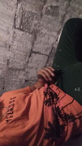 I Couldn't Make Porn