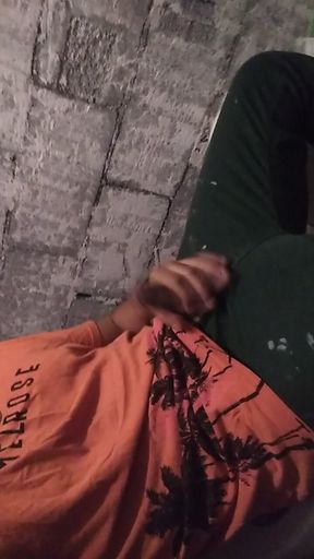 I Couldn't Make Porn