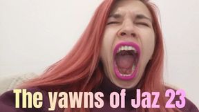 The yawns of Jaz 23