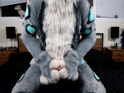 A pent up Lynx pawing off