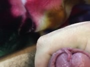 Raw uncircumcised masturbation (serving volcanic eruption horchata)