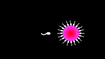 &quot_[A] Touch Sensitive&quot_ on Artist: Super Furry Animals