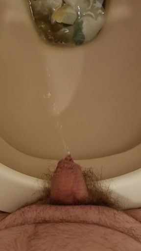 Pissing in toilet