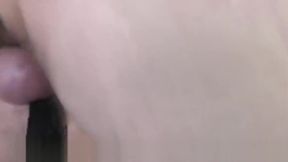 Horse Hung stud breeds pig bottom