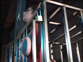 Guy Fucks His Marvellous Brunette Sex Slavegirl in the Vault