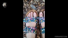 Garden of Toes