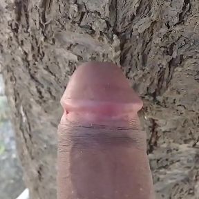 Beautiful Young College Girl Is Getting Fucked on the Road, They Have Her on All Fours