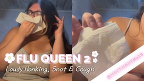 Flu Queen 2: Loudy Honking, Snot And Cough