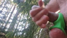 Cuming in forest