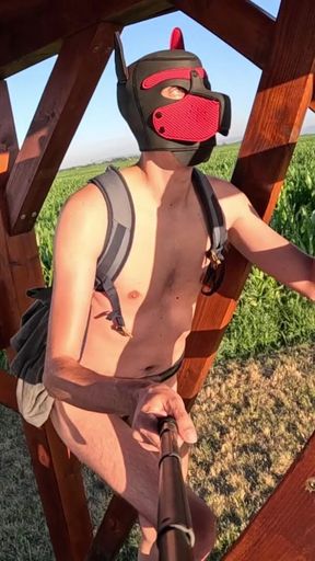 Climbing to a lookup tower with chastity belt