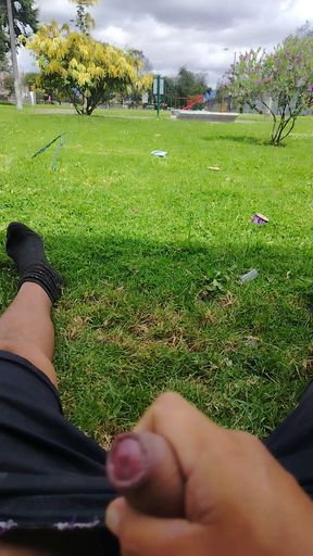 Paja en parque