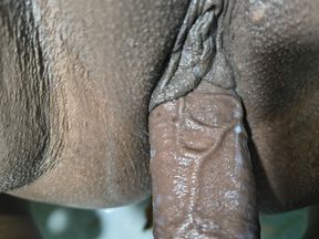 Couple Private Fun - Love, Passion & Connection