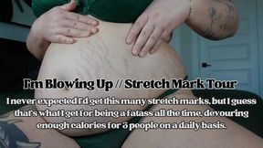 I'm Blowing Up | Stretch Mark Tour