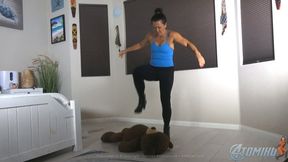 TOMIKO BIG BEAR BEATDOWN - HD