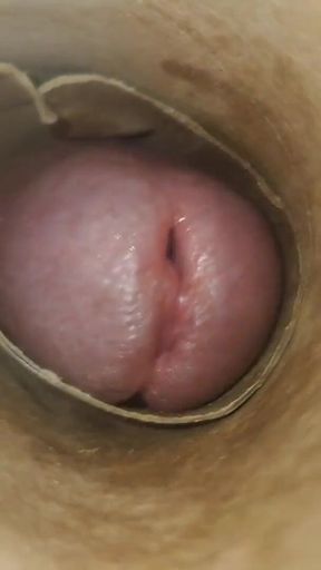 POV: Cummin' Inside of You