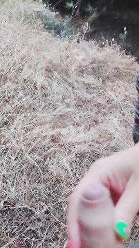 Key moment from "Very risky fucking in the forest with cute sea views 4K"