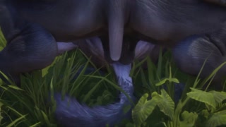 Furry Female Wolf &amp; Rhino Fuck Hard (Some Pee) | Wild Life Furries