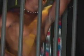 8 inches from Brazil (2)