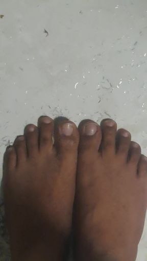 Desi maal in