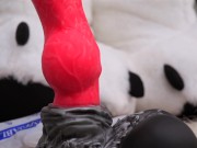 Nothosaur Graemen Review: A Knotted Wolf Dildo with Humongous Balls and Cumtube