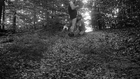 Pet Girl Obedience Training