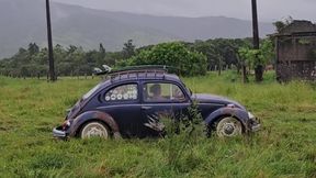 Playing in the Mud with the Beetle