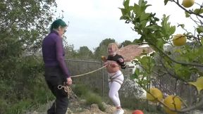 Zoey Ziptie 72h Extreme Challenge - Chapter 14 - Bondage Walk & Outdoor Training- Part 2 mp4 SD