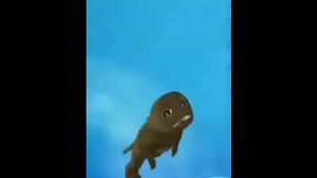 menina branca bonita de olhos azuis russa