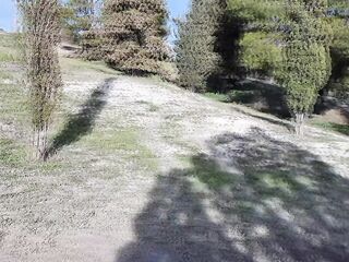 mejor MAMADA en el CAMPO de morena cachonda